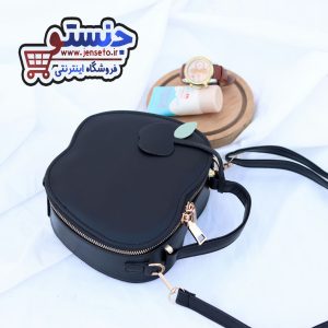 کیف زنانه apple طرح سیب پاسپورتی مجلسی کد 1402278